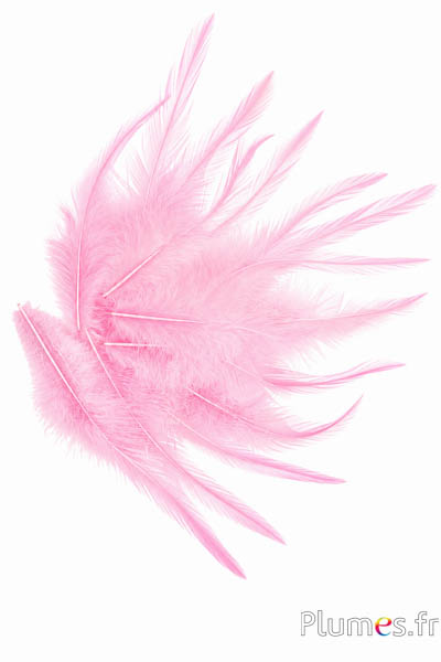 Haan - 8-12 cm - zacht roze